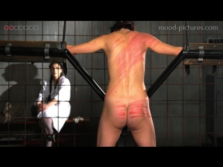 mood-picture: the experiment - part 2 (bdsm, bdsm, submission, whipping, sadomasochism, bondage, imprisonment)